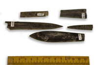 F 05428
<br/>
<br/>
<em></em>